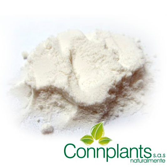 Soursop from 콜롬비아 supplied by Connplants - Powder 신선 사워솝