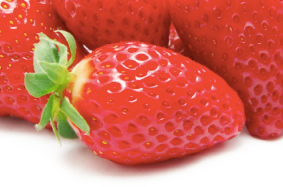 Fresh Strawberries from United States supplied by Paramount Export - Organic Fresh Strawberry