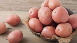 Potatoes from 미국 supplied by Top Brass/Vignolo Farms - 보라색 신선 일반 감자