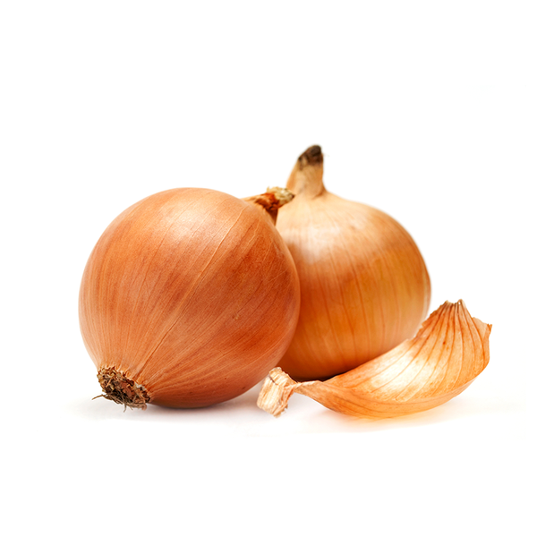 Fresh Onion from Spain supplied by Agroter - Brown Fresh Onion