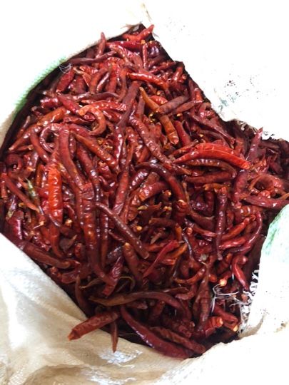 Dry Red Chilli from 방글라데시 supplied by Northex Industries - Mixed 말린 통고추