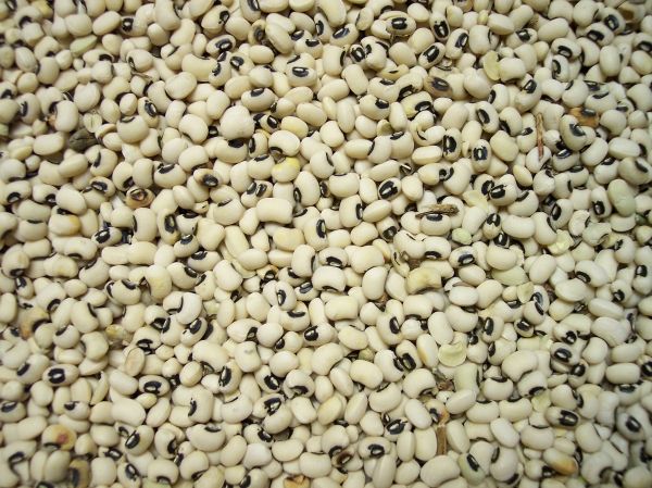 Black-eyed Peas from 미국 supplied by JAMES WEDEL FARMS - Black Eyed Pea 말린 동부