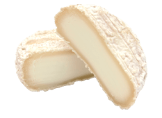 Goat Milk Cheese from 프랑스 supplied by Thomas Export - Bloomy Rind 기타 치즈