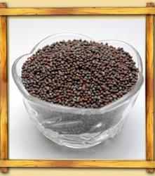 Black Pepper from India supplied by GAUTAM EXPORT CORPORATION - Black Whole Black Peppercorn