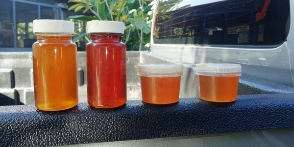 Honey from 멕시코 supplied by MexWorld Consulting - Multifloral(=Polyfloral) 꿀