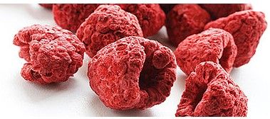 Dried Raspberry from 미국 supplied by Doehler North America Inc. - Flakes 건조 라즈베리