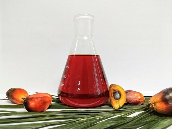 Crude Palm Oil from 우루과이 supplied by Louis Dreyfus Company (LDC) Uruguay S.A. - Whole 팜 커넬 오일