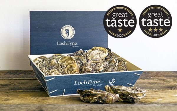 Rock Oysters from United Kingdom supplied by Loch Fyne Oysters Ltd - 10-20 pcs/kg Fresh Oyster