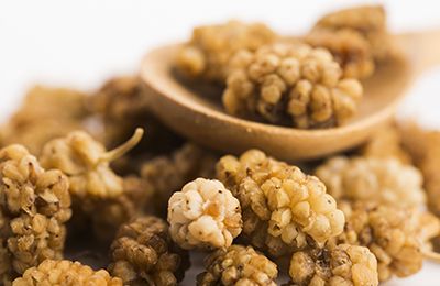 Dried Mulberry from 튀르키예 supplied by Bozkale - Dried 말린 오디