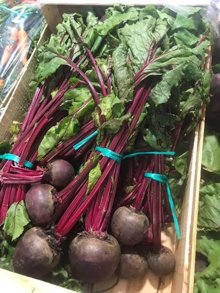 Beetroot from 영국 supplied by Veg UK Ltd - 크기: >20(=20보다 큼=20+) 신선 비트