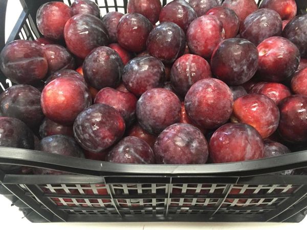 Fresh plums from 그리스 supplied by Amaltheia Yada P.C. - Conventional 신선 자두
