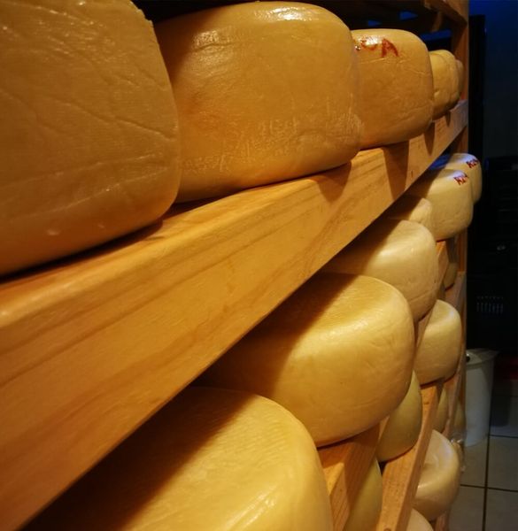 Goat Milk Cheese from South Africa supplied by Foxenburg Estate - Whole Other Cheese