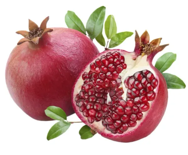 Pomegranate from 독일 supplied by Schraud & Baunach GmbH - Crates & Bins 신선 석류