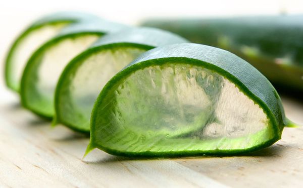 Aloe Vera from 남아프리카공화국 supplied by Snack-A-Juice - FAQ (=Fair Average Quality) 알로에주스