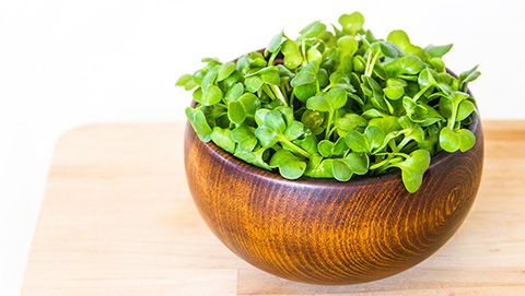 RADISHOOTS (DAIKON SPROUTS) from 미국 supplied by Salad Cosmo Dba Salad Cosmo USA Corporation - Sprout 다이콘