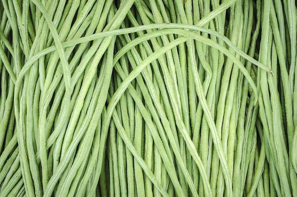 Pole bean from 케냐 supplied by Ad-Lib Limited - Large 줄콩