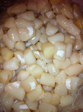 Scallop from 미국 supplied by Ocean Floor Inc. - Bay Scallop (=Argopecten irradians=Atlantic Bay Scallop=China Bay Scallops) 냉동 가리비