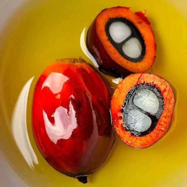 Palm oil from 나이지리아 supplied by MAX AND MAXIS GLOBAL SERVICE LIMITED. - Whole 팜 커넬 오일