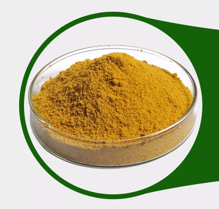 Corn Gluten Meal from 중국 supplied by Cangzhou Tianyu Feed Additive Co.,Ltd - Meal 옥수수글루텐박