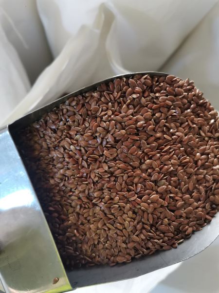 flax seed from 이집트 supplied by MVM Herbs - PP Bags (25kg) 아마 씨