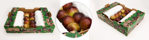 Fresh fig from 브라질 supplied by Brotto - Purple 말린 무화과