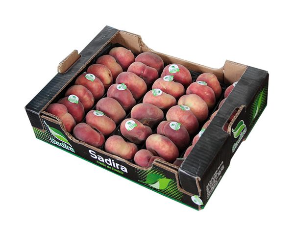 Fresh Peach from 튀니지 supplied by Sadira - Flat 신선 복숭아