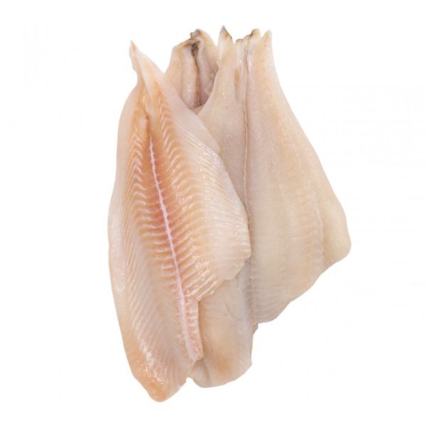 Frozen Witch Flounder from 영국 supplied by Enterfoods - Witch (=Arnoglossus scapha) 냉동 도다리