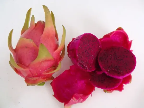 Fresh Dragon Fruit from 스페인 supplied by Pitaber - Purple 신선 용과