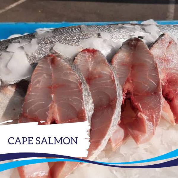 Cape Salmon from South Africa supplied by Seafood Market - With Bone Salmon