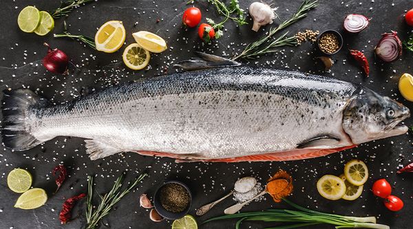 Salmon from 핀란드 supplied by Vettel OÜ - Seasoned - Marinated 연어