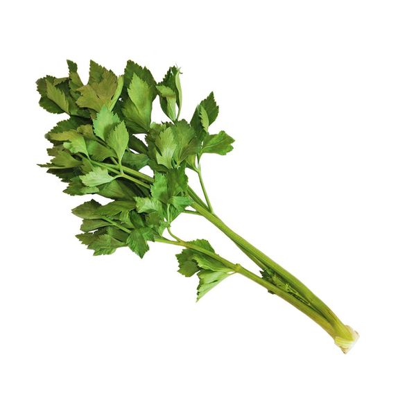 Celery from Thailand supplied by PWK ELITE PERFECTION GROUP CO.,LTD. - Green Fresh Celery