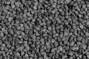 Buckwheat from Germany supplied by Evergrain GmbH & Co. KG - Whole Buckwheat