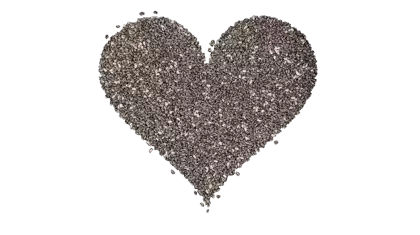 Chia Seeds from 미국 supplied by Naturkost USA Inc. - Black Varieties 치아 씨