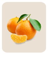 Fresh Whole Orange from Spain supplied by BIOGOLD - Pomelo Jackson Fresh Orange