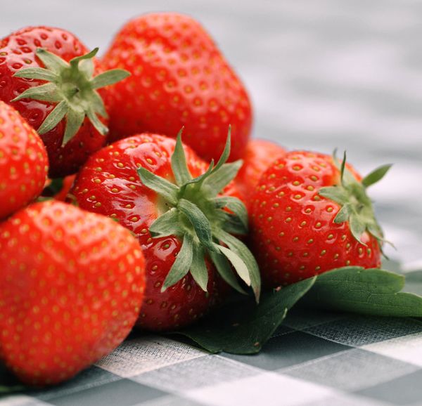 Fresh Strawberry from Germany supplied by Hofmarkt Zapf - Clery Fresh Strawberry