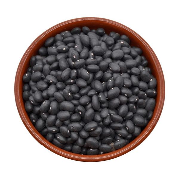 Black Bean from 스페인 supplied by Colecesa - Black 말린 일반 콩