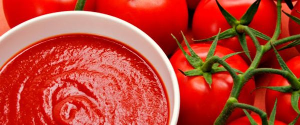 Tomato paste from 이집트 supplied by Al Shams Agro group - 라운드 품종 토마토 페이스트와 퓨레