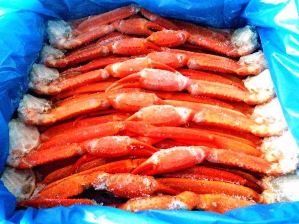Fresh Crab from 중국 supplied by Fortune Seafood Co,Ltd - Snow Crab - Beni-zuwai Crab (=Chionoecetes japonicus=Red Snow Crab) 냉동 게