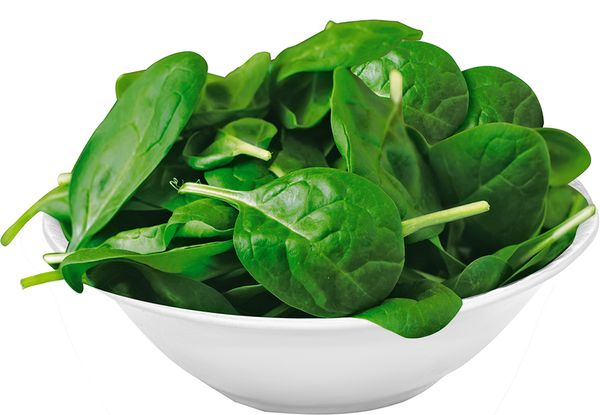 Frozen Spinach from 이집트 supplied by Real Fresh Agriculture - Frozen 냉동 시금치