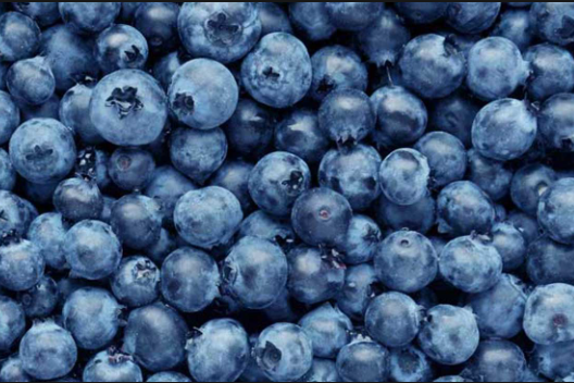 Blueberry from 보스니아-헤르체고비나 supplied by STARNET D.O.O. P.J. (FROZEN BERRIES) - 진한 파란색 냉동 블루베리
