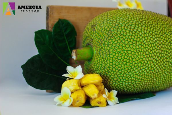 Jackfruit from Mexico supplied by AMEZCUA Produce - Packed Jackfruit