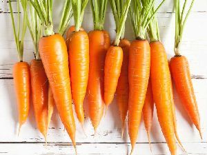 Fresh Carrot from India supplied by Rimmy Agro Export - Orange Fresh Carrot