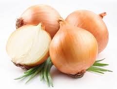 Onion from 벨기에 supplied by Dauchy Potatos - Brown 신선 양파