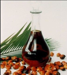 Palm Oil from United States supplied by Thin Oil Products - RBD (=Refined, Bleached, and Deodorized) RBD Palm Oil