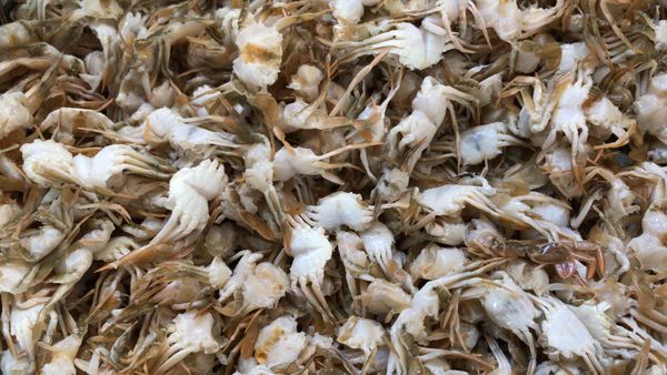 Baby Crab from Malaysia supplied by Lian Hin Marine Products Supplier - Frozen - Cooked Frozen Frozen Crab