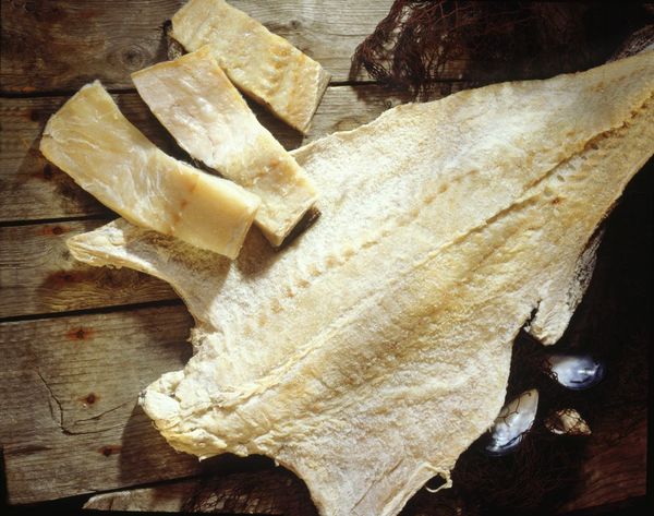Klippfish from 노르웨이 supplied by JAKOB OG JOHAN DYBVIK AS - Dried 말린 대구