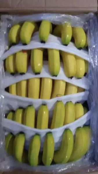 Bananas from 말레이시아 supplied by AgroFresh Group - Yellow 신선 바나나
