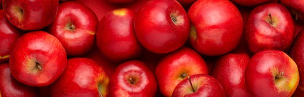 Apple (fresh) from 칠레 supplied by Exportadora Fruttita Spa. - Rosy Glow 신선 사과