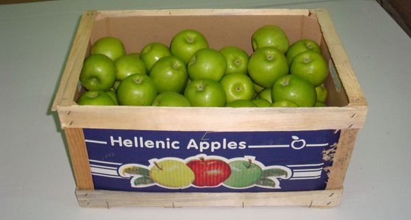 Fresh Whole Apple from 그리스 supplied by AGRICULTURAL COOP. OF MELIKI IMATHIA - Red Can 신선 사과