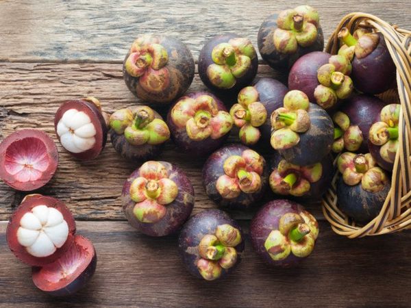 Mangosteen from 인도네시아 supplied by PT. Radja Manggis Sejati - Tray 신선 망고스틴